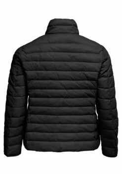 ONLY CARMAKOMA Cartahoe Quilted Otw - Winterjas - Black -ONLY Winkel 89997ef1b6394c30a632b65f386018c6