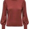 ONLY Trui - Burnt Henna -ONLY Winkel 8c6c175f69604bdd852cf23e0cfbe5d3