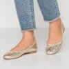 ONLY Shoes Onlbee - Ballerina'S - Gold 2 ONLY Shoes Onlbee - Ballerina'S - Gold -ONLY Winkel afb3404627234da3a5321134e1c7d8cb